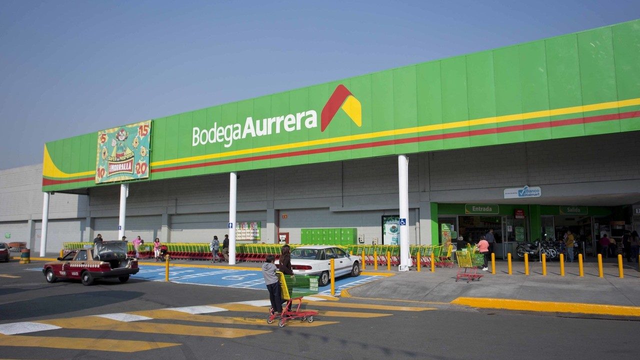 Discord follower growth